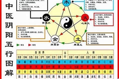 72年次五行|1972年鼠是什么命五行属什么木